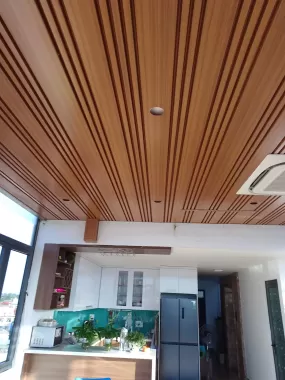 Cửa Nhôm Xingfa - Mẫu 12
